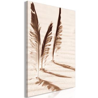 Cuadro moderno Tres plumas - imagen en blanco y negro de tres plumas de ave al sol