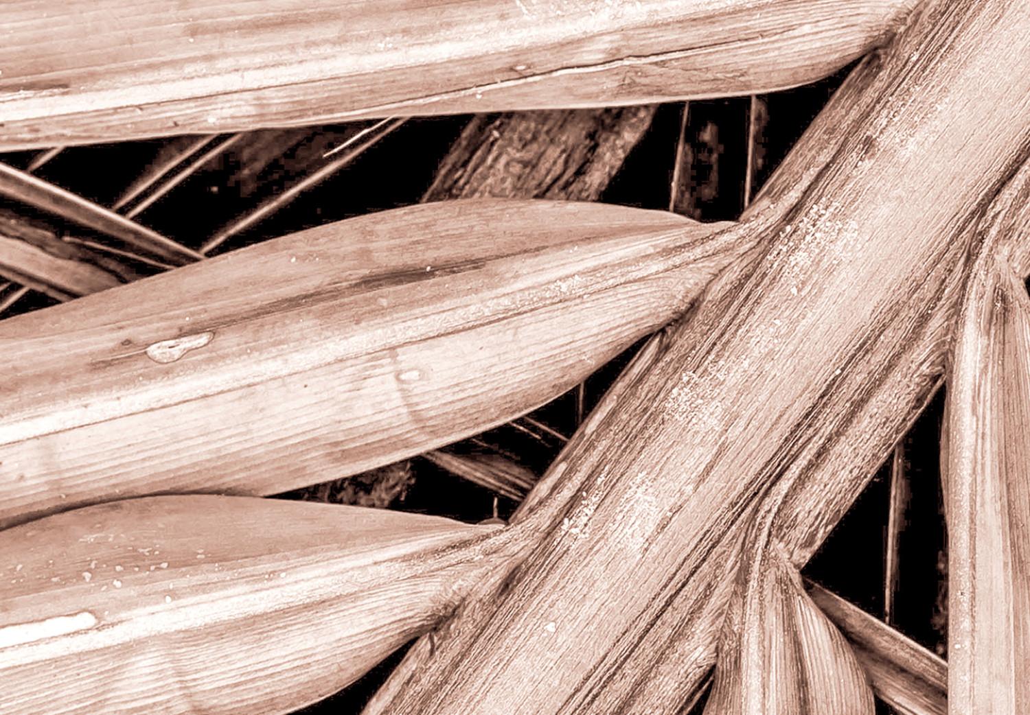Cuadro Palma seca - hoja de palma seca colocada en un ángulo agudo