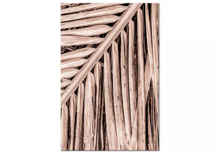 Palma seca - hoja de palma seca colocada en un ángulo agudo