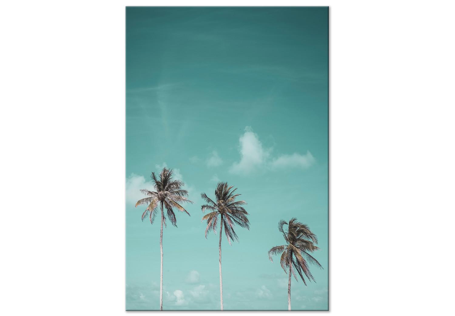 Cuadro decorativo Tres palmeras - imagen de tres árboles contra el cielo azul