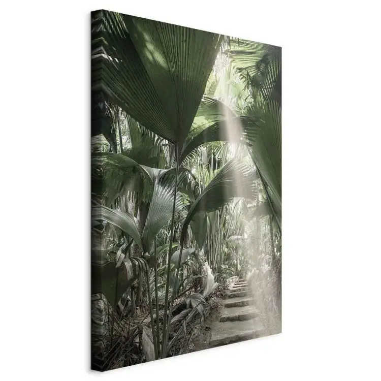 Haz de luz vertical - paisaje tropical de plantas