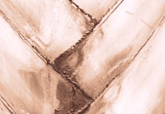 Cuadro moderno Hojas delgadas - estructura de hoja de palmera seca color marrón suave