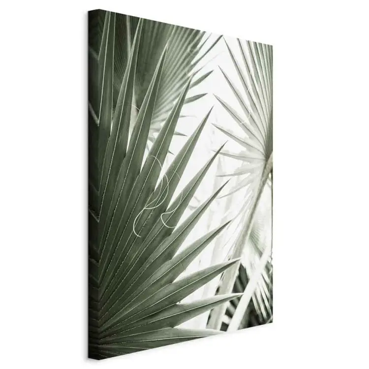 Agujas de plantas - imagen de plantas exóticas afiladas en verde frío