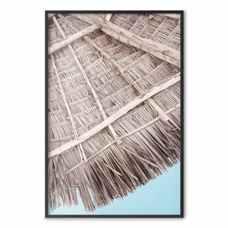 Textura exótica - tejado casa tropical cielo