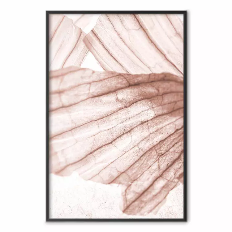 Luz alada - textura abstracta de madera clara