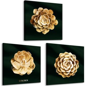 Cuadro moderno Suculente preziose (3 piezas) - flores doradas en estilo glamuroso