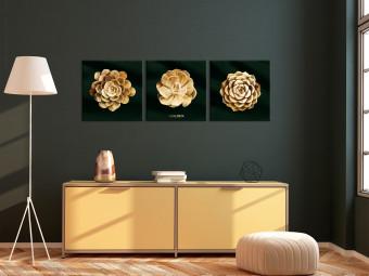 Cuadro moderno Suculente preziose (3 piezas) - flores doradas en estilo glamuroso