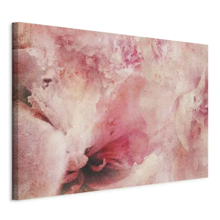 Amanecer rosa - abstracción con rosa borrosa y fragmentos de flores