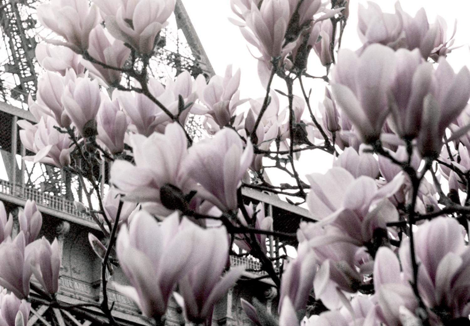 Cuadro moderno Paris Magnolias (1 Part) Vertical