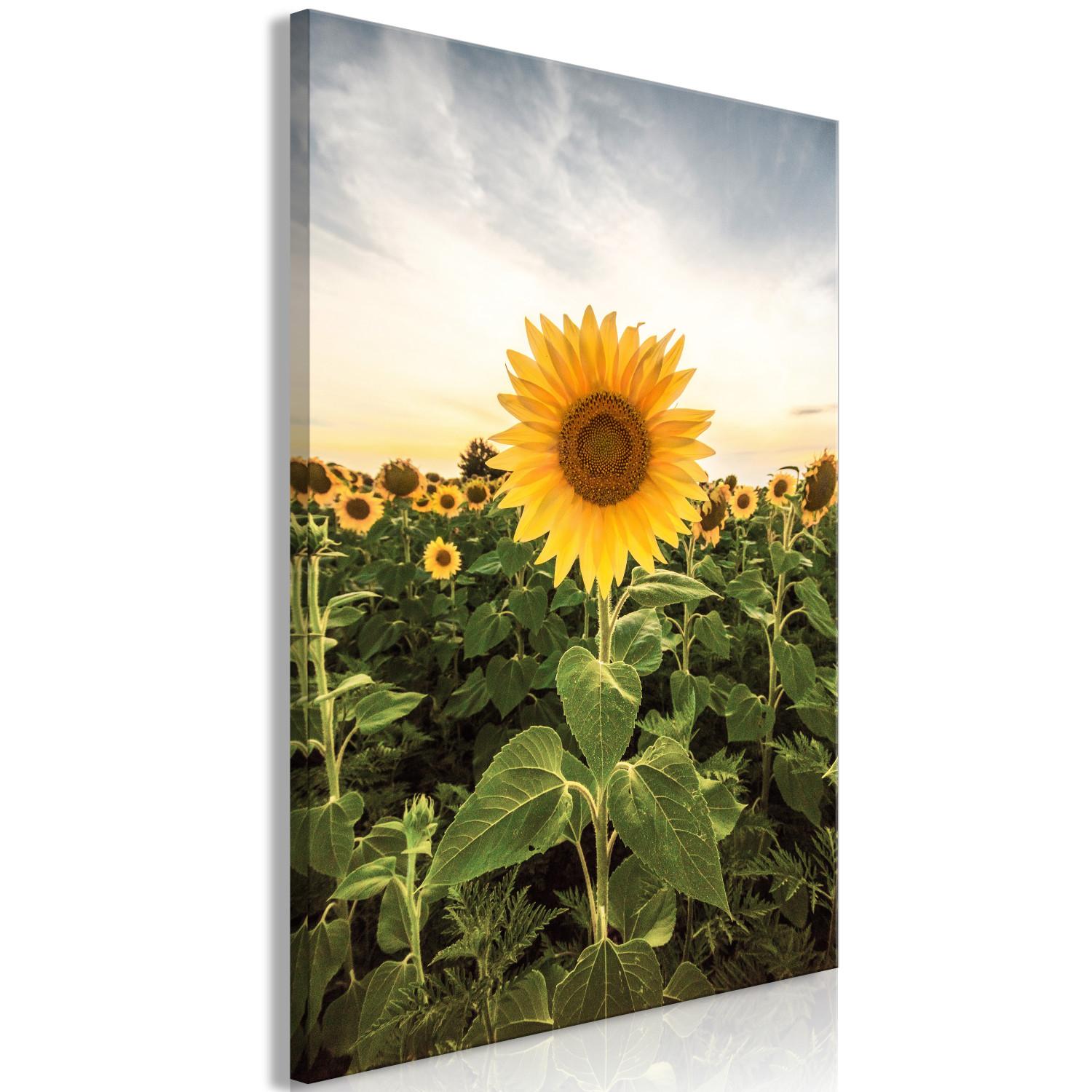 Cuadro decorativo Sunflower Field (1 Part) Vertical