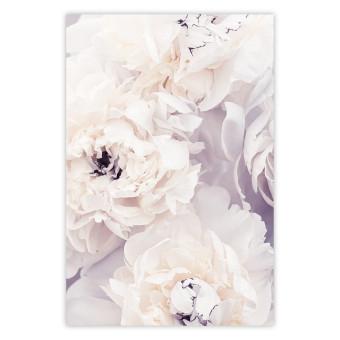 Cartel Magnolias de vainilla - composición floral con delicados tonos morados