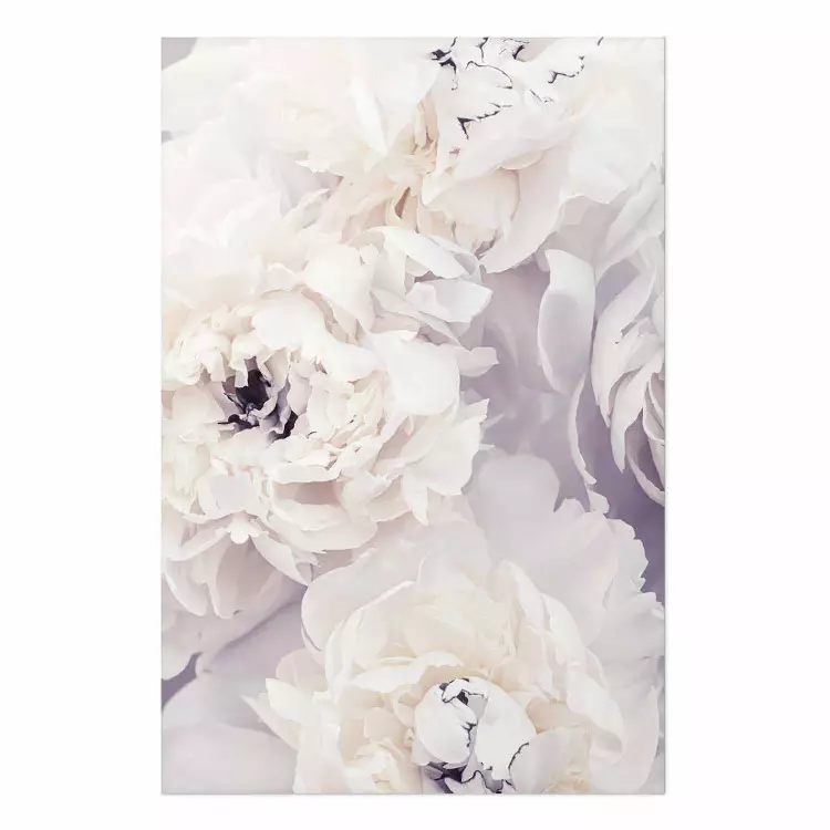 Cartel Magnolias de vainilla - composición floral con delicados tonos morados