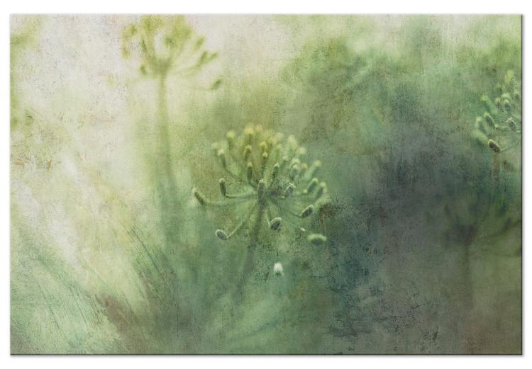 Flores de mayo en la niebla - gráfico con plantas silvestres verdes