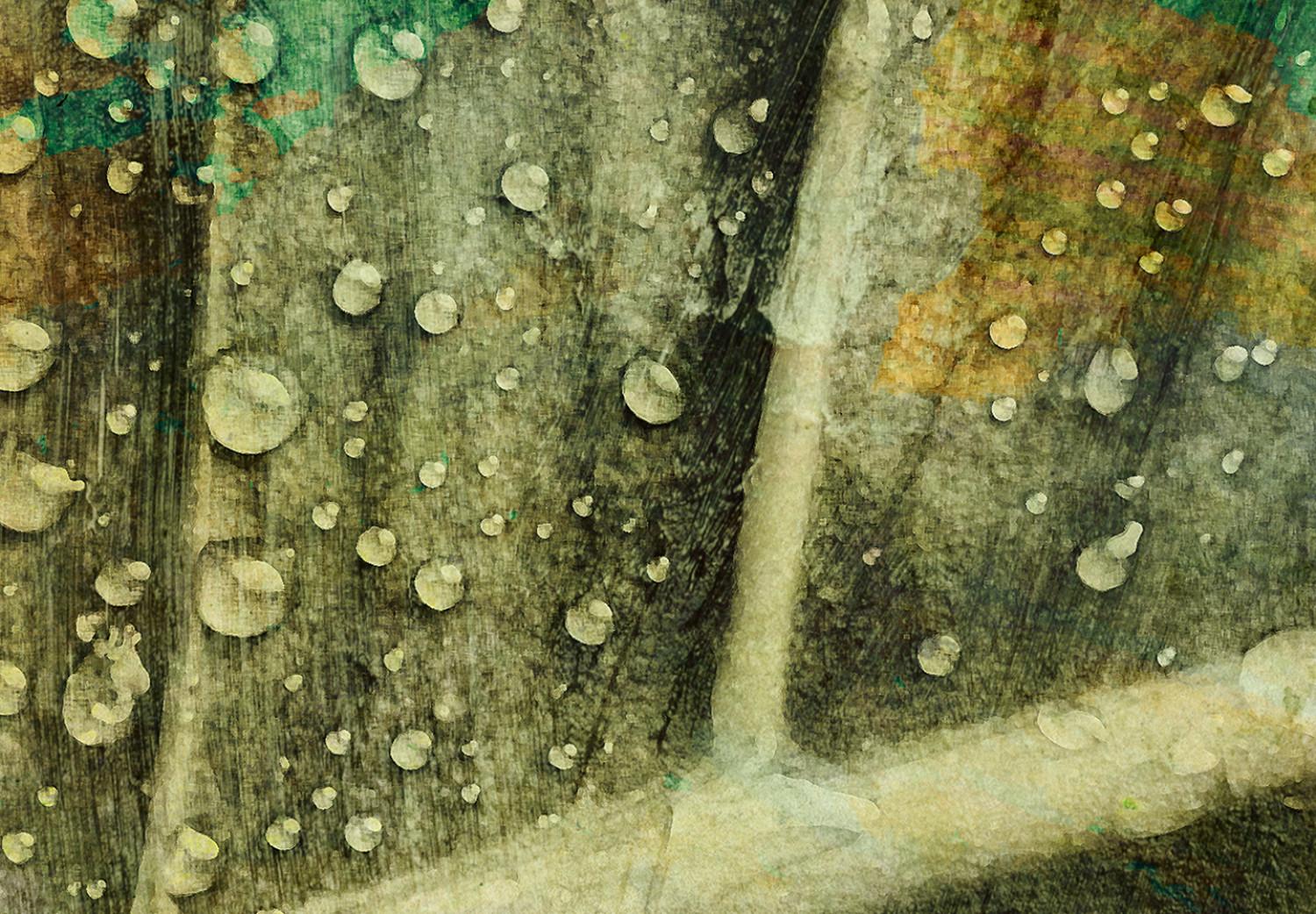 Cuadro decorativo Gotas de lluvia sobre una hoja - motivo botánico en color verde