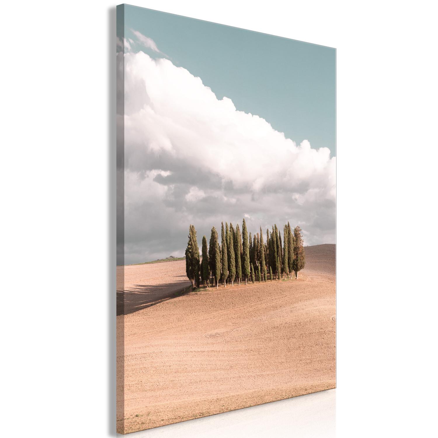 Cuadro decorativo Bosque toscano - foto con paisaje toscano, nubes y cipreses