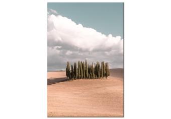 Cuadro decorativo Bosque toscano - foto con paisaje toscano, nubes y cipreses
