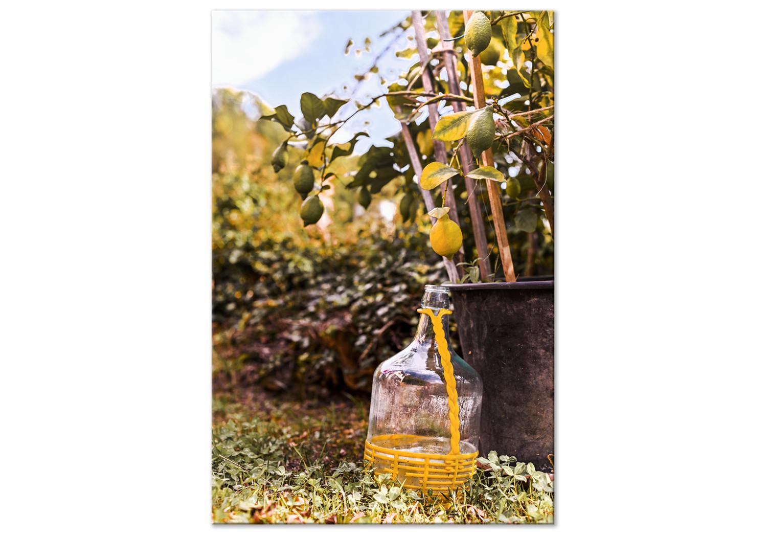 Cuadro Huerto de limones - foto de un jardín italiano con un limonero
