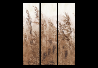 Biombo original Tall Grasses - Brown [Room Dividers]