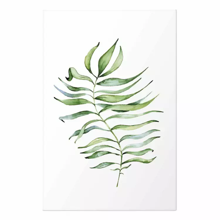 Póster Hoja danzante - composición en acuarela de hojas verdes sobre blanco
