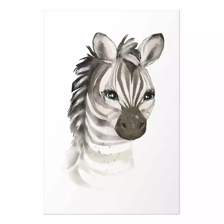 Poster Little Zebra [Poster]