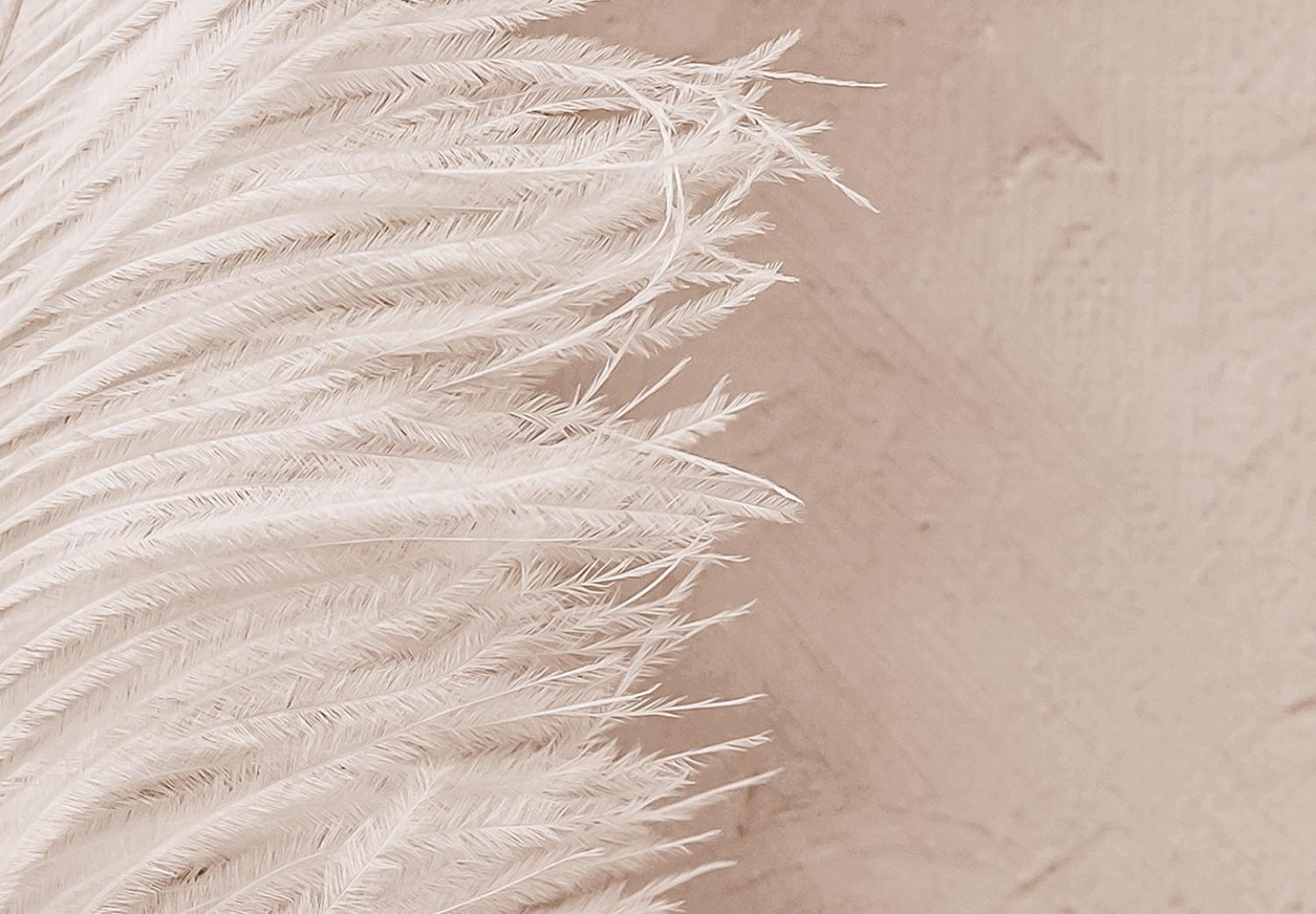 Cuadro Pluma blanca sobre tablero beige - composición de estilo scandi boho