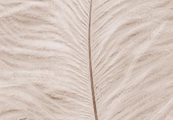 Cuadro Pluma blanca sobre tablero beige - composición de estilo scandi boho