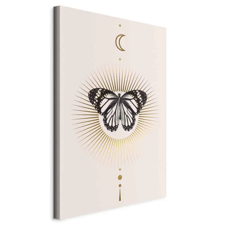El misterio de la mariposa vertical