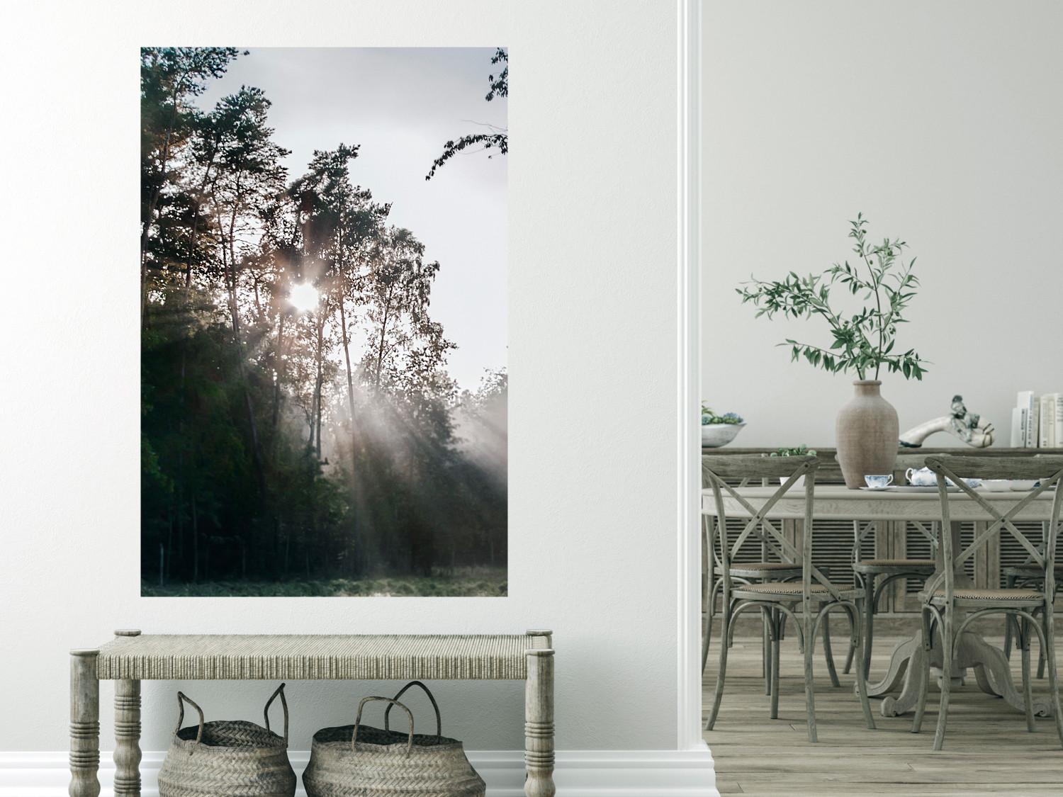 Poster Nueva Esperanza - paisaje de bosque al amanecer