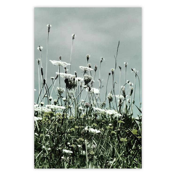 Midsummer - paisaje de prado lleno de flores