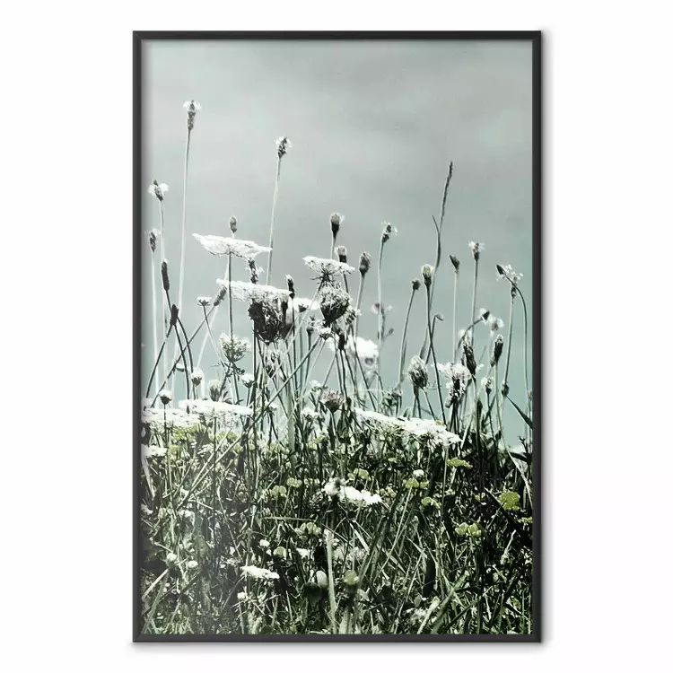 Midsummer - paisaje de prado lleno de flores