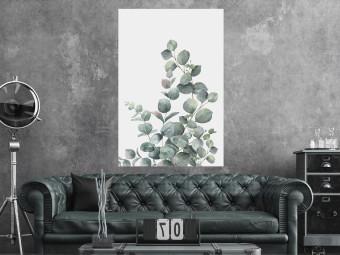 Poster Ramas de eucalipto - hojas verdes sobre fondo claro