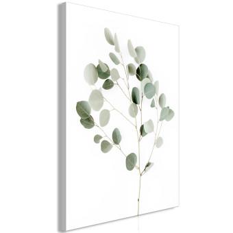 Cuadro moderno Silver Eucalyptus