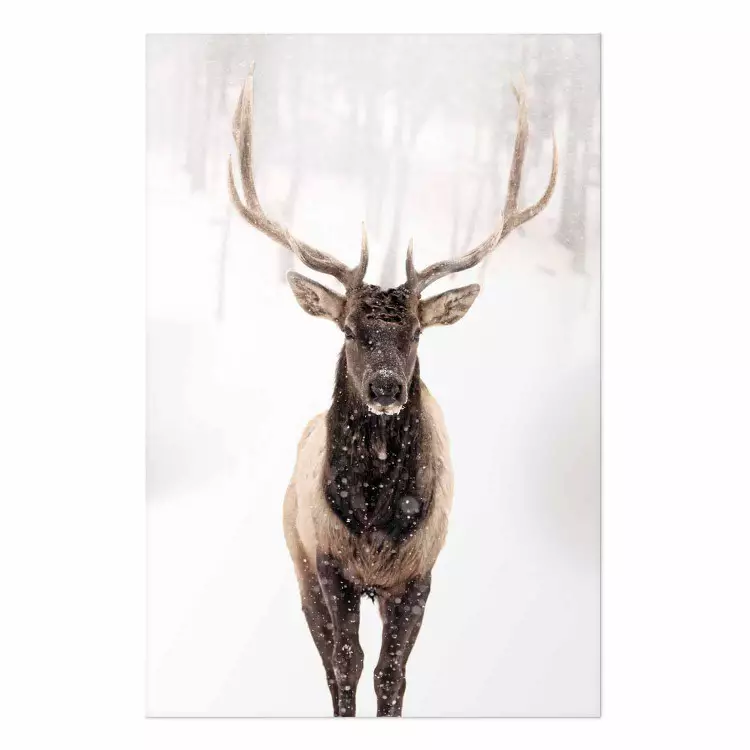 Póster Deer in the Snow [Poster]
