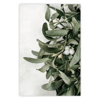 Póster Christmas Mistletoe [Poster]