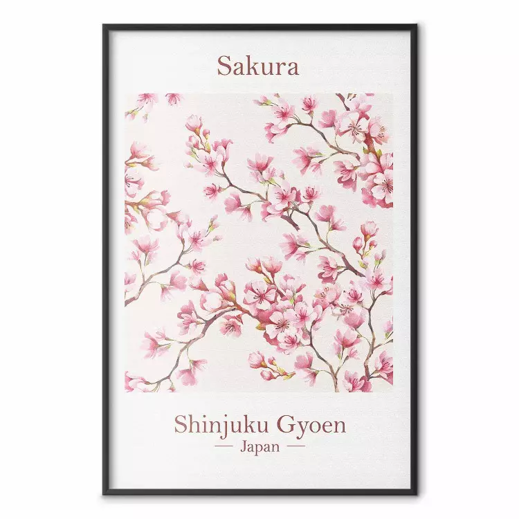Sakura - Letra en inglés y planta japonesa con flores rosas.