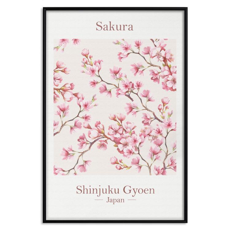 Sakura - Letra en inglés y planta japonesa con flores rosas.