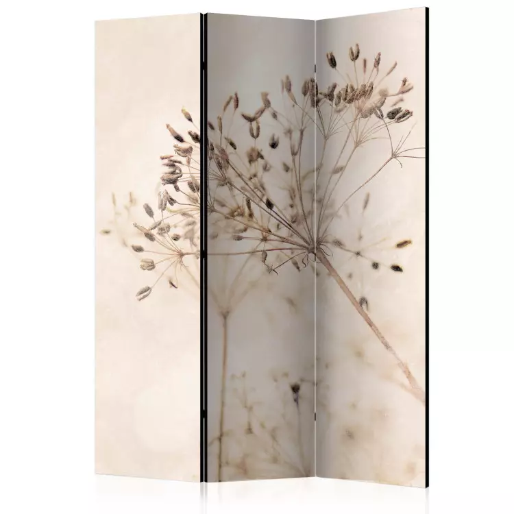 Paz y reflexión (3 piezas) - plantas delicadas en fondo beige