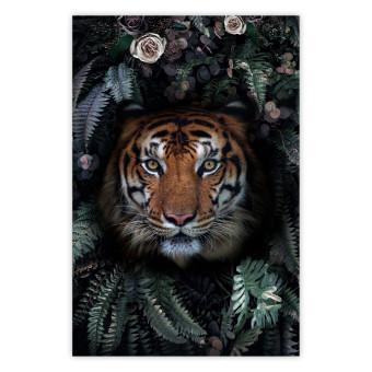Poster Tigre entre las hojas - retrato de tigre sobre fondo de plantas verdes