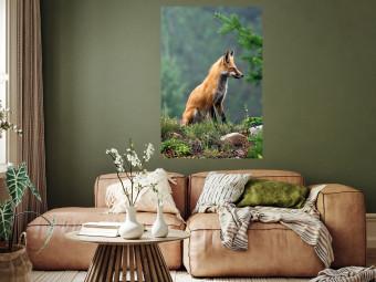 Poster Cazador rojo - retrato animal en bosque borroso