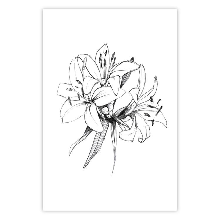 Flores dibujadas: boceto negro de flores sobre blanco contrastante