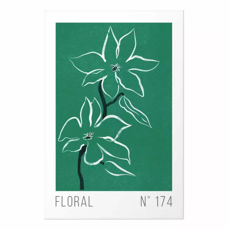 Cartel Bosquejo floral: textos en inglés y plantas blancas sobre verde.