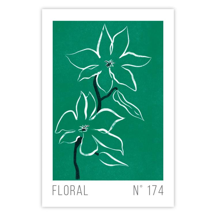 Bosquejo floral: textos en inglés y plantas blancas sobre verde.