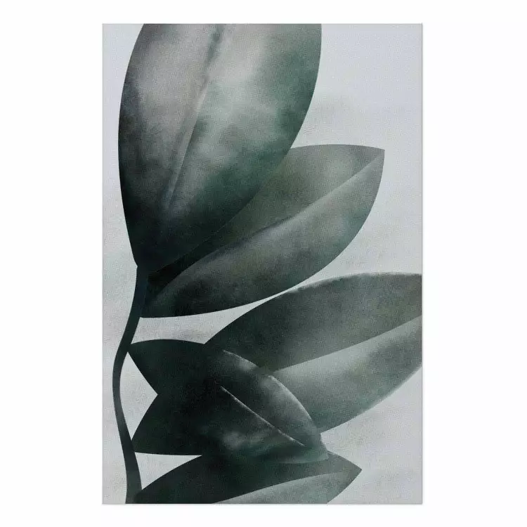 Póster Olive Leaves [Poster]