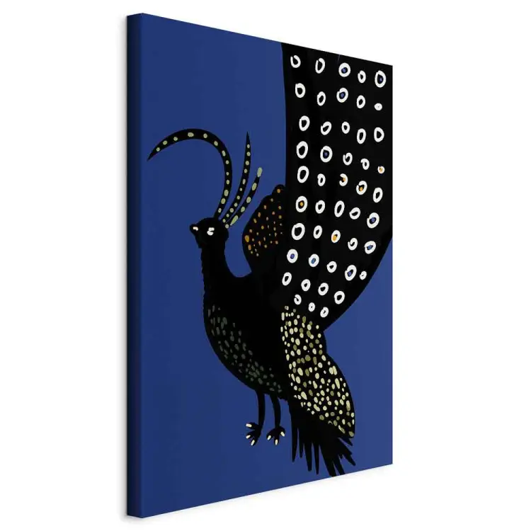 Pavo real oriental - ave negra sobre fondo azul oscuro