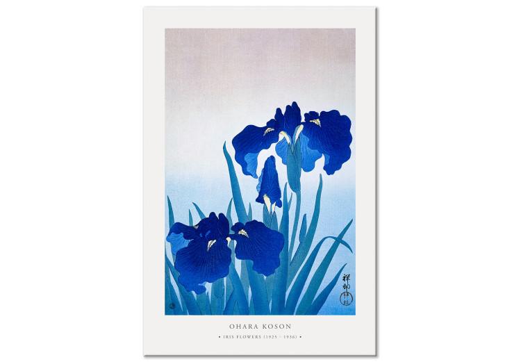 Iris azules (1 parte) - flores azules en floración