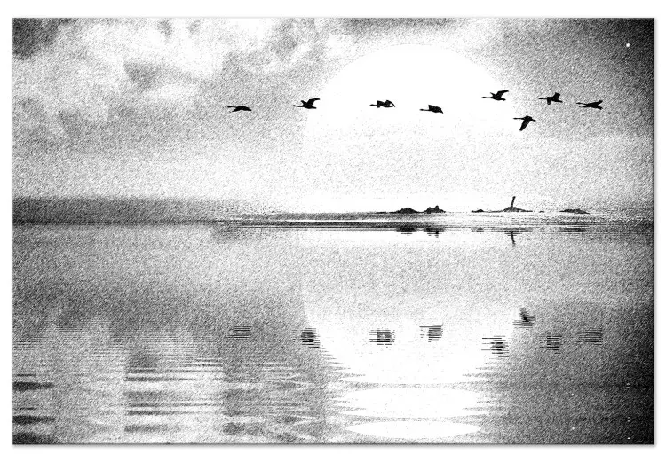 Vuelo pájaros lago (1 parte) - blanco y negro