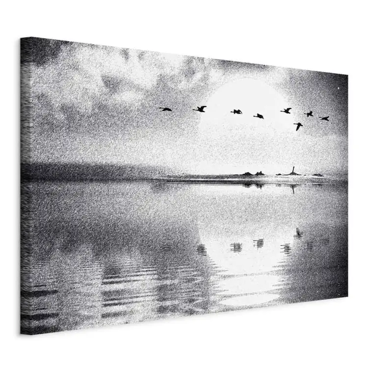 Vuelo pájaros lago - blanco y negro