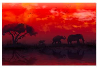 Cuadro moderno Paisaje africano (1-pieza) amplio - elefantes y cielo rojo