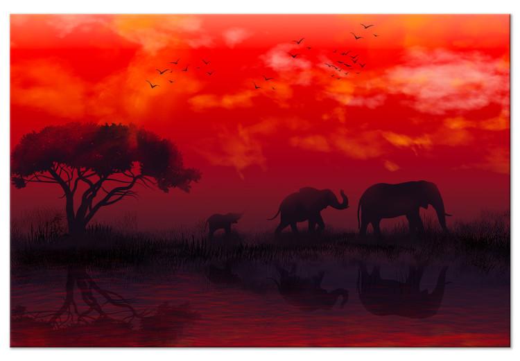 Paisaje africano (1-pieza) amplio - elefantes y cielo rojo