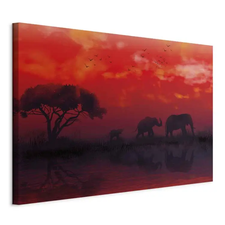 Paisaje africano amplio - elefantes y cielo rojo